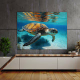 Turtle Realistic Sea 7