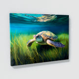 Turtle Sea Swimming Seascape 54