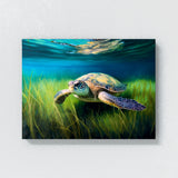 Turtle Sea Swimming Seascape 54