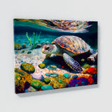 Turtle Vibrant 38