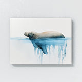 Walrus Minimalist Atmospheric 18