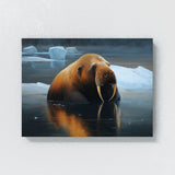 Walrus Peaceful Arctic Scene 7