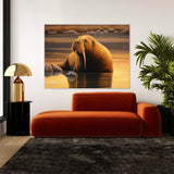 Walrus Peaceful Sunset 20