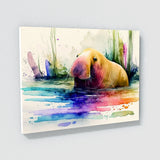 Walrus Playful Bright 10