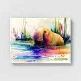 Walrus Playful Bright 10