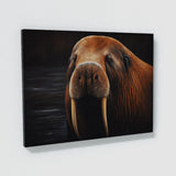 Walrus Realistic Portrait 3