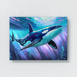 Whale Orca Ocean Background 3