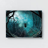 Halloween Spiderweb Black Widow 34