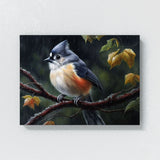 Tufted Titmouse Colored 42