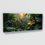 Banana Enigmatic Foliage 77