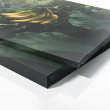 Banana Enigmatic Foliage 77