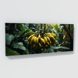 Banana Enigmatic Foliage 78