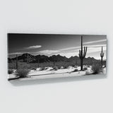 Arizona Shadowed Saguaro 66