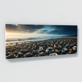 Oyster Ocean Dream 189