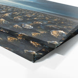 Oyster Ocean Dream 189