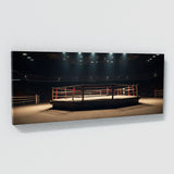 Boxing Empty Ring Anticipation 91