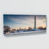 American Icy Washington Monument 71