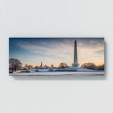 American Icy Washington Monument 71