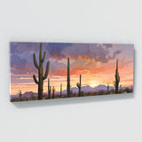 Western Desert Evening Glow 33