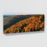 Season Canopy Vista 118