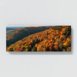 Season Canopy Vista 118