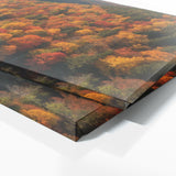 Season Canopy Vista 118