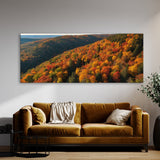 Season Canopy Vista 118