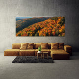 Season Canopy Vista 118