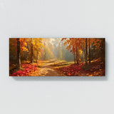 Season Golden Forest Trail 41