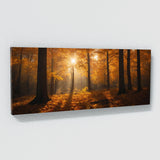 Season Sunlit Canopy 102