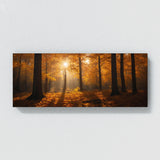 Season Sunlit Canopy 102