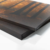 Season Sunlit Canopy 102