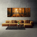 Season Sunlit Canopy 102