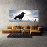 Raven Snowy Vigil 15