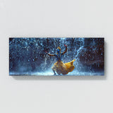 Krishna Monsoon Dance Bliss 44