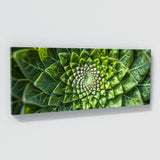 Mandala Symmetric Flora 58