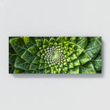 Mandala Symmetric Flora 58