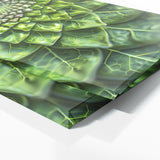 Mandala Symmetric Flora 58