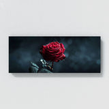 Rose Midnight Bloom 15