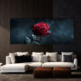 Rose Midnight Bloom 15