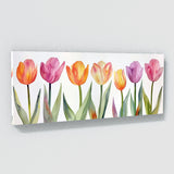 Tulip Delicate Petal Harmony 9