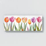 Tulip Delicate Petal Harmony 9