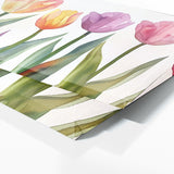 Tulip Delicate Petal Harmony 9