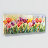 Tulip Spring Symphony 8