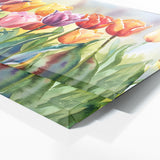 Tulip Spring Symphony 8