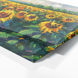 Sunflower Sunlit Bloomscape 12