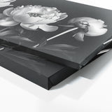 Peonie Elegant Peony Portrait 20