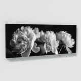 Peonie Noir Peony Elegance 17