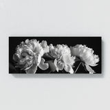 Peonie Noir Peony Elegance 17