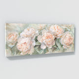 Peonie Peony Serenity 10